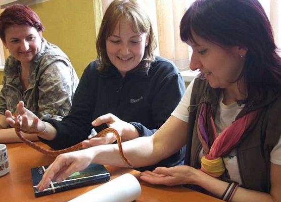 Grafika Warsztaty herpetologiczne w OEE w Szymbarku