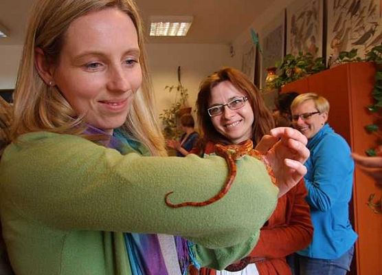Grafika Warsztaty herpetologiczne w OEE w Szymbarku