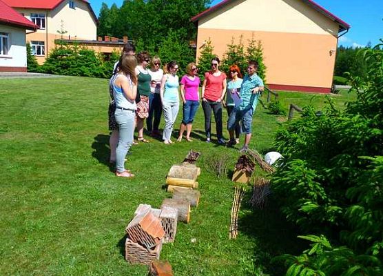 Grafika Eko-akcja, czyli owady i ptaki mile widziane!