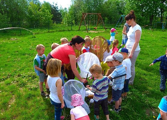 Grafika "Majówka entomologiczna dla przedszkolaków"