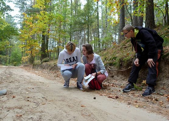 Grafika Przyrodniczy bieg na orientację w Szymbarku