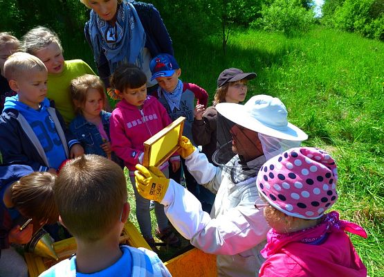 Grafika „Majówka entomologiczna 2015”