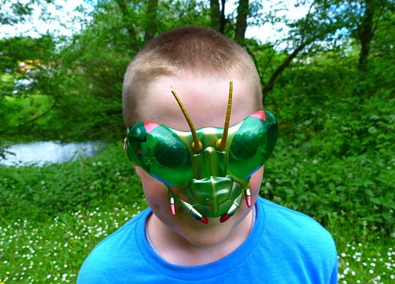 Grafika „Majówka entomologiczna 2015”