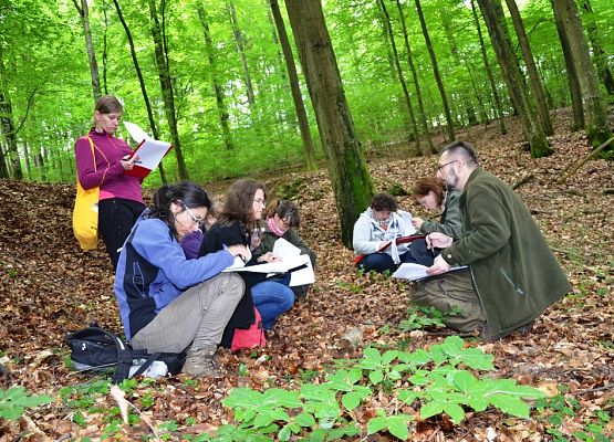 Grafika „Warsztaty siedliskowe 2015”