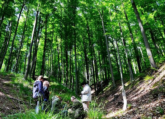 Grafika „Warsztaty siedliskowe 2015”