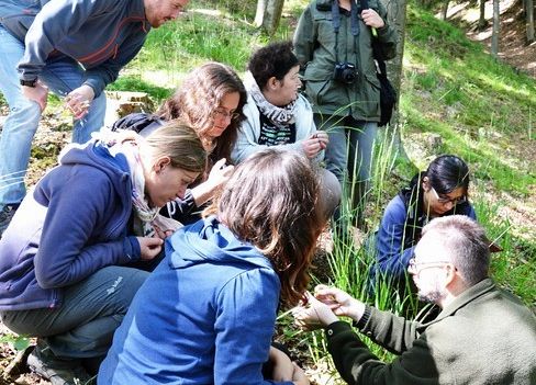 Grafika „Warsztaty siedliskowe 2015”