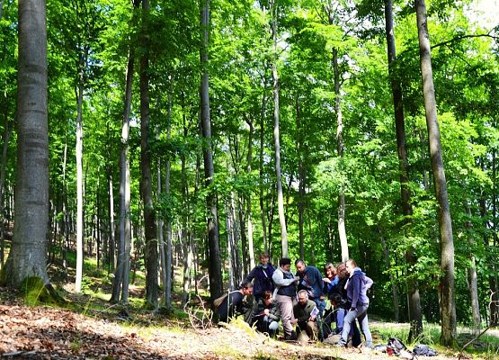 Grafika „Warsztaty siedliskowe 2015”