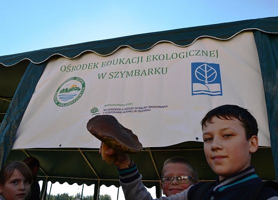 Grafika Powiatowe grzybobranie 2015’ w OEE w Szymbarku