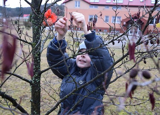 Grafika „Ferie 2016’ w Ośrodku Edukacji Ekologicznej”
