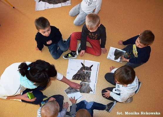 Grafika „Przyjaciel sowy”