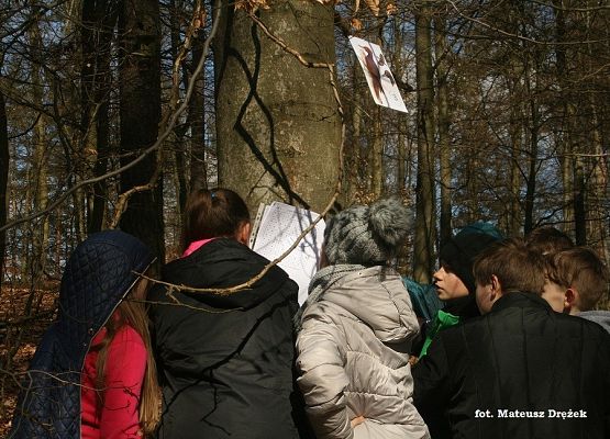 Grafika Ekologiczna gra terenowa „Pogoń za wiosną”
