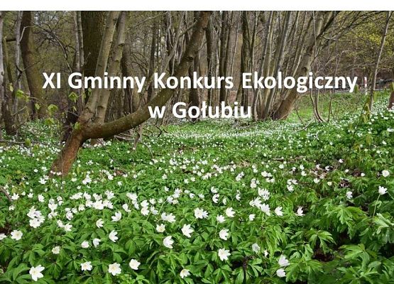 Grafika XI Gminny Konkurs Ekologiczny