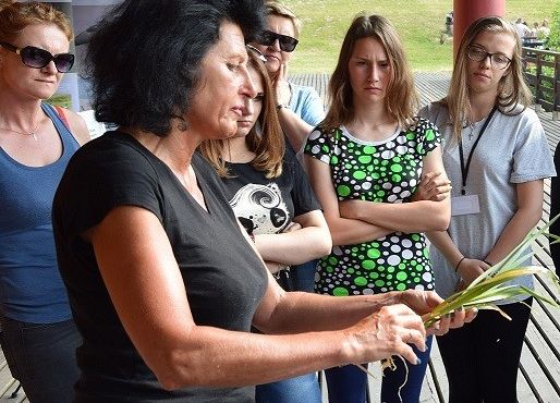 Grafika „Przyroda i Matematyka pod Żaglami”