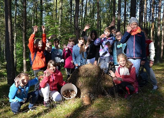 Grafika Powiatowe grzybobranie 2016’ w OEE w Szymbarku