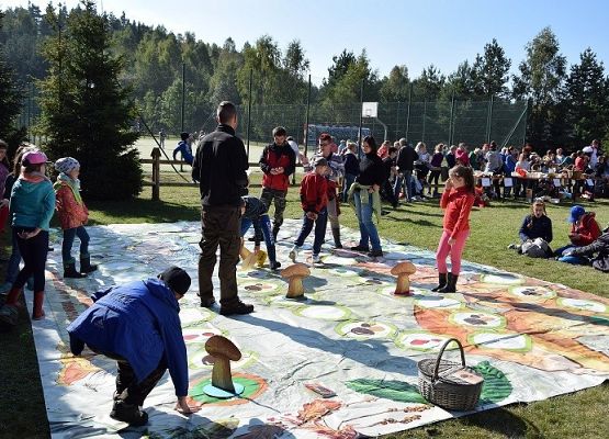 Grafika Powiatowe grzybobranie 2016’ w OEE w Szymbarku