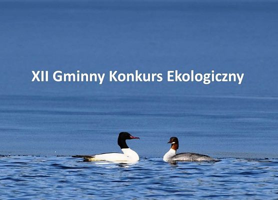 Grafika XII Gminny Konkurs Ekologiczny