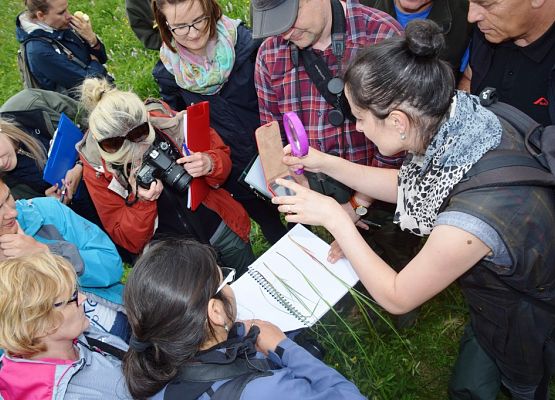 Grafika Warsztaty siedliskowe 2017’ dla pracowników PZPK