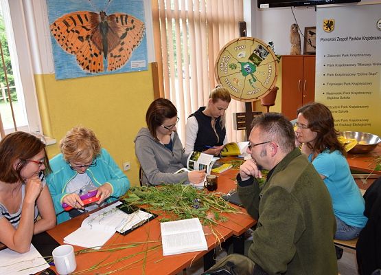 Grafika Warsztaty siedliskowe 2017’ dla pracowników PZPK