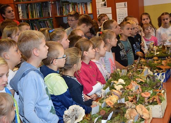 Grafika „VII Grzybobranie w Szymbarku”