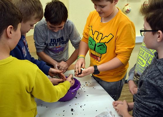 Grafika "Pomagamy ptakom przetrwać zimę" - warsztaty edukacyjne OEE w Szymbarku