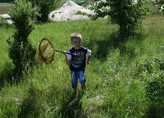 Grafika Majówka entomologiczna dla przedszkolaków- warsztaty OEE