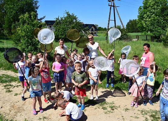 Grafika Majówka entomologiczna dla przedszkolaków- warsztaty OEE