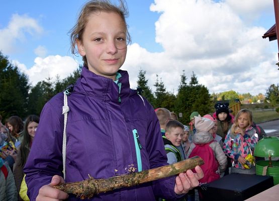 Grafika Grzybobranie w Ośrodku Eduakcji Ekologicznej