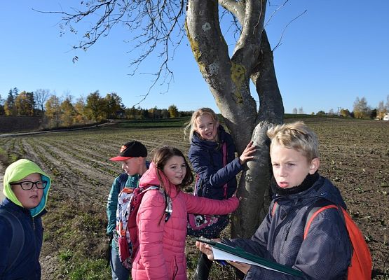 Grafika Kaszubski spacer z okazji Międzynarodowego Dnia Krajobrazu