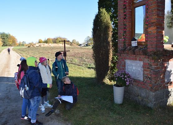 Grafika Kaszubski spacer z okazji Międzynarodowego Dnia Krajobrazu