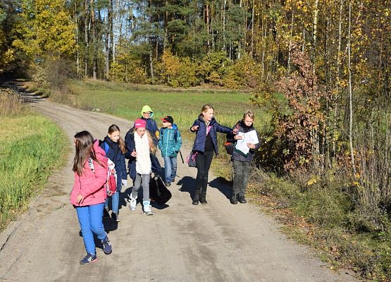 Grafika Kaszubski spacer z okazji Międzynarodowego Dnia Krajobrazu