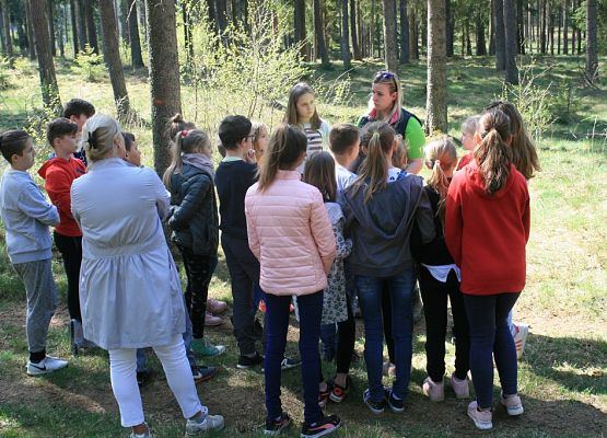 Grafika IX Wiosenne Warsztaty Przyrodnicze w OEE w Szymbarku