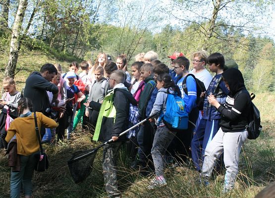 Grafika IX Wiosenne Warsztaty Przyrodnicze w OEE w Szymbarku