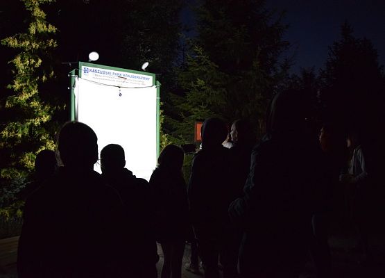 Grafika Warsztaty rodzinne „Motyle i latające smoki”