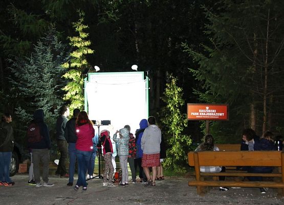 Grafika Warsztaty rodzinne „Motyle i latające smoki”