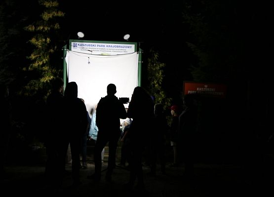 Grafika Warsztaty rodzinne „Motyle i latające smoki”