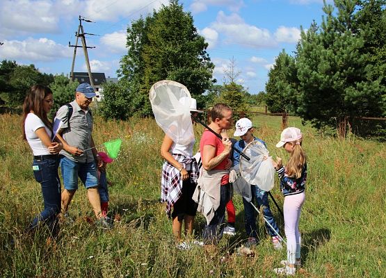 Grafika Warsztaty rodzinne „Motyle i latające smoki”