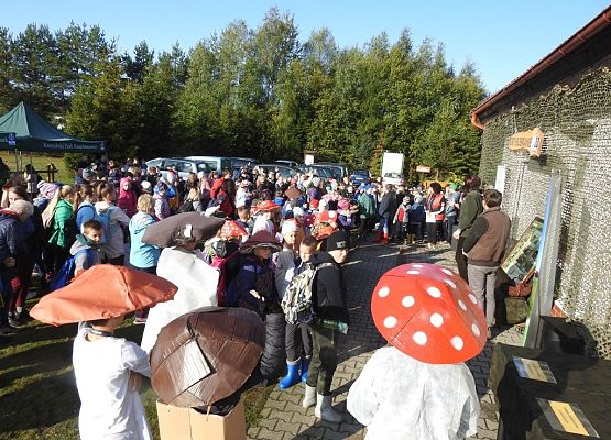 Grafika Owocne Grzybobranie 2019