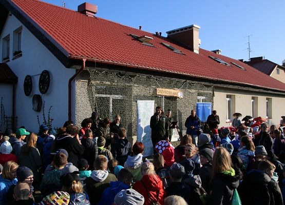 Grafika Owocne Grzybobranie 2019