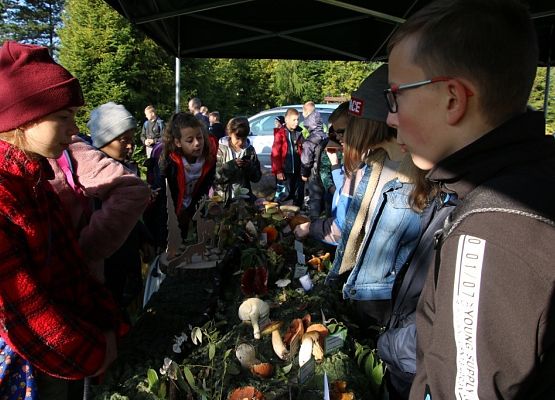 Grafika Owocne Grzybobranie 2019
