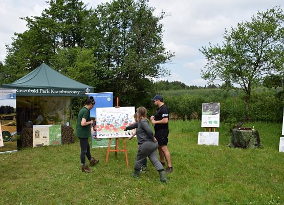 Grafika „BioBlitz w dolinie Raduni”
