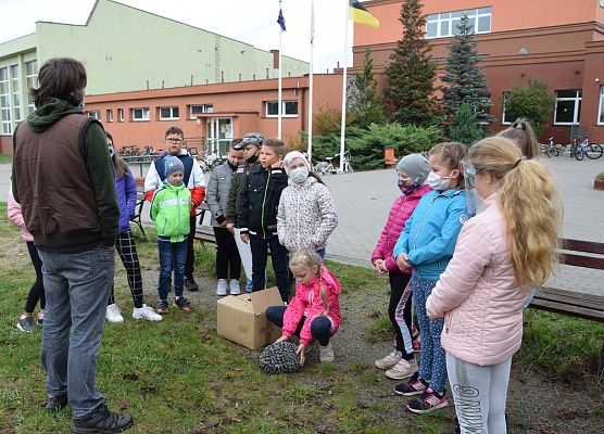 Grafika „Bardzo w to wierzę wspomagam jeże!”