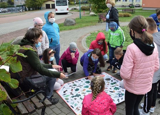 Grafika „Bardzo w to wierzę wspomagam jeże!”