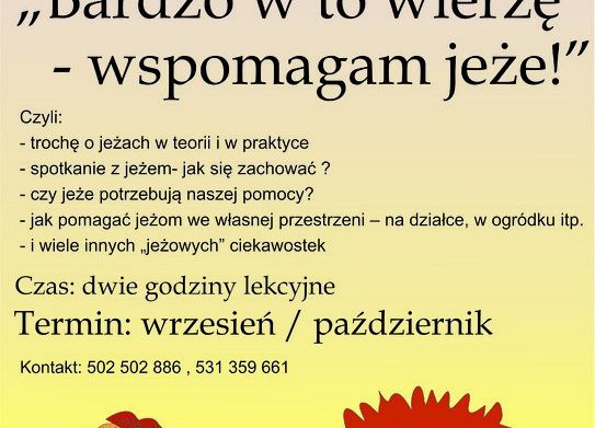 Grafika „Bardzo w to wierzę wspomagam jeże!”