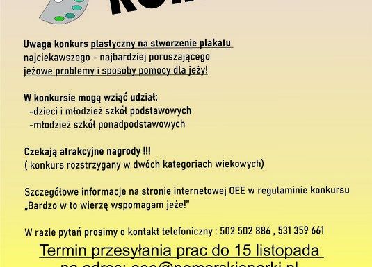 Grafika „Bardzo w to wierzę wspomagam jeże!”