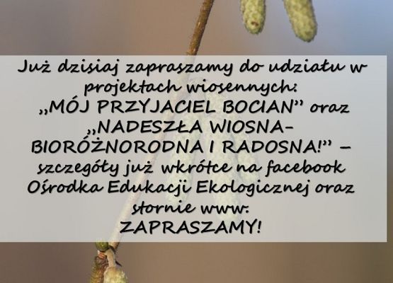 Grafika Mądre dokarmianie - czyli jak to ugryźć?