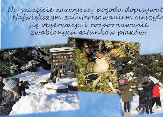 Grafika Mądre dokarmianie - czyli jak to ugryźć?