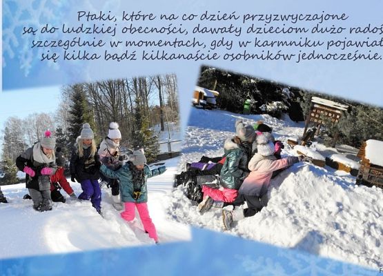 Grafika Mądre dokarmianie - czyli jak to ugryźć?