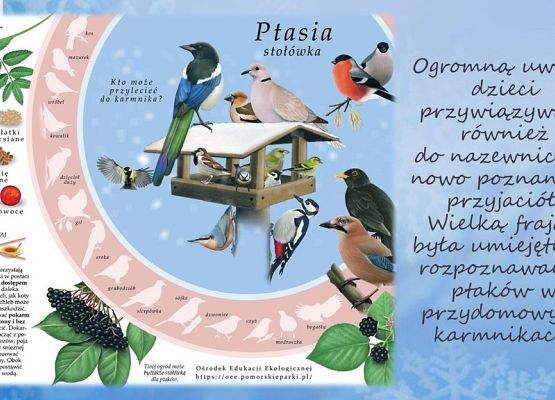 Grafika Mądre dokarmianie - czyli jak to ugryźć?