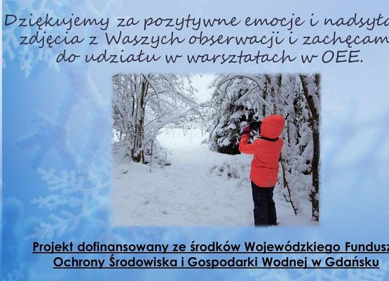 Grafika Mądre dokarmianie - czyli jak to ugryźć?
