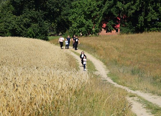 Grafika Warsztaty Rodzinne „Bardzo w to wierzę wspomagam jeże”